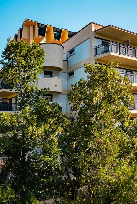 Стая Класик